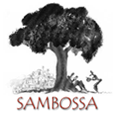 Sambossa - Pochette